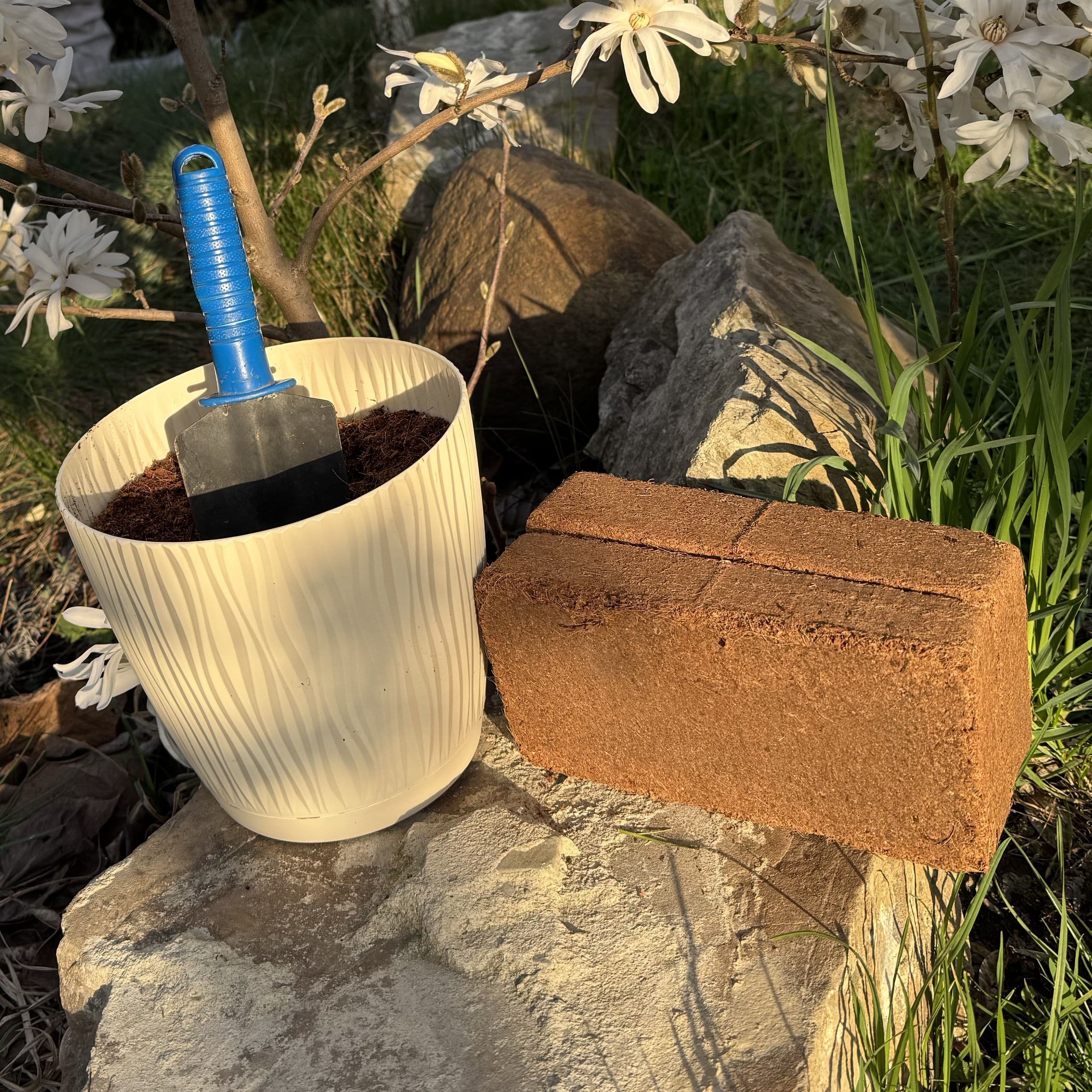 CocoVanta – profesjonalne podłoże dla Twoich upraw