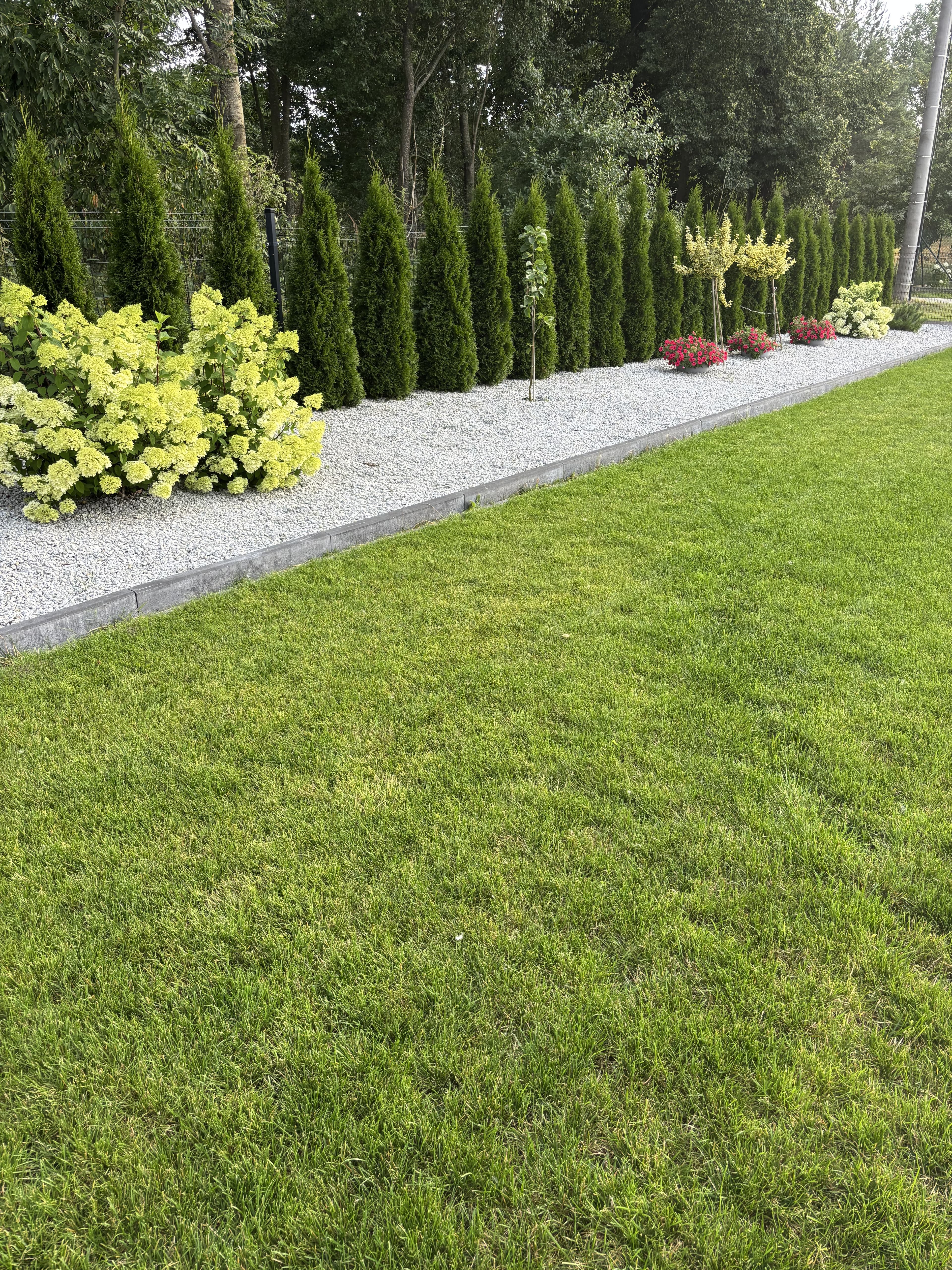 Turbo Korzeń - Wzmacniacz korzeni i intensywnego kwitnienia