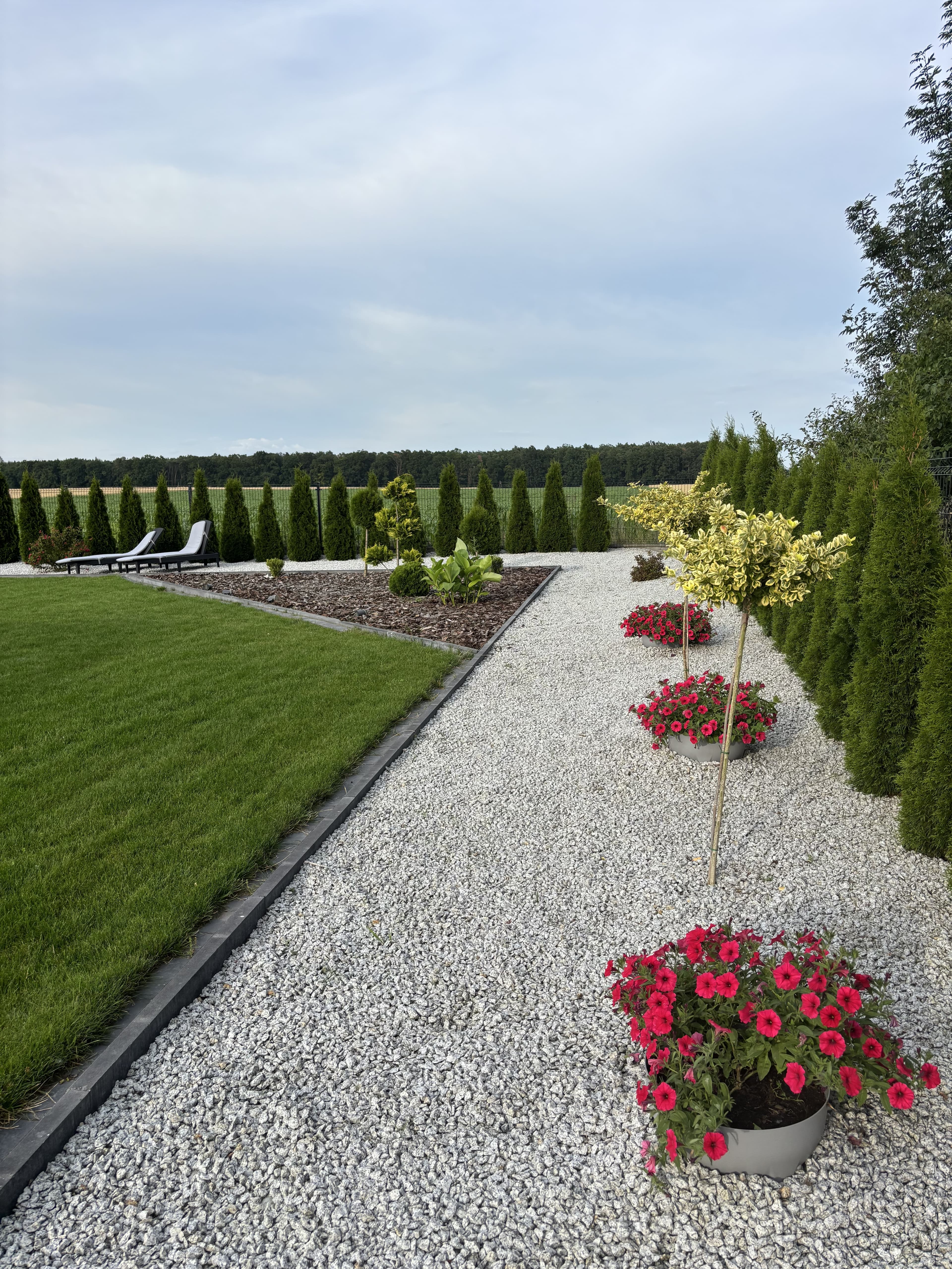 Turbo Korzeń - Wzmacniacz korzeni i intensywnego kwitnienia