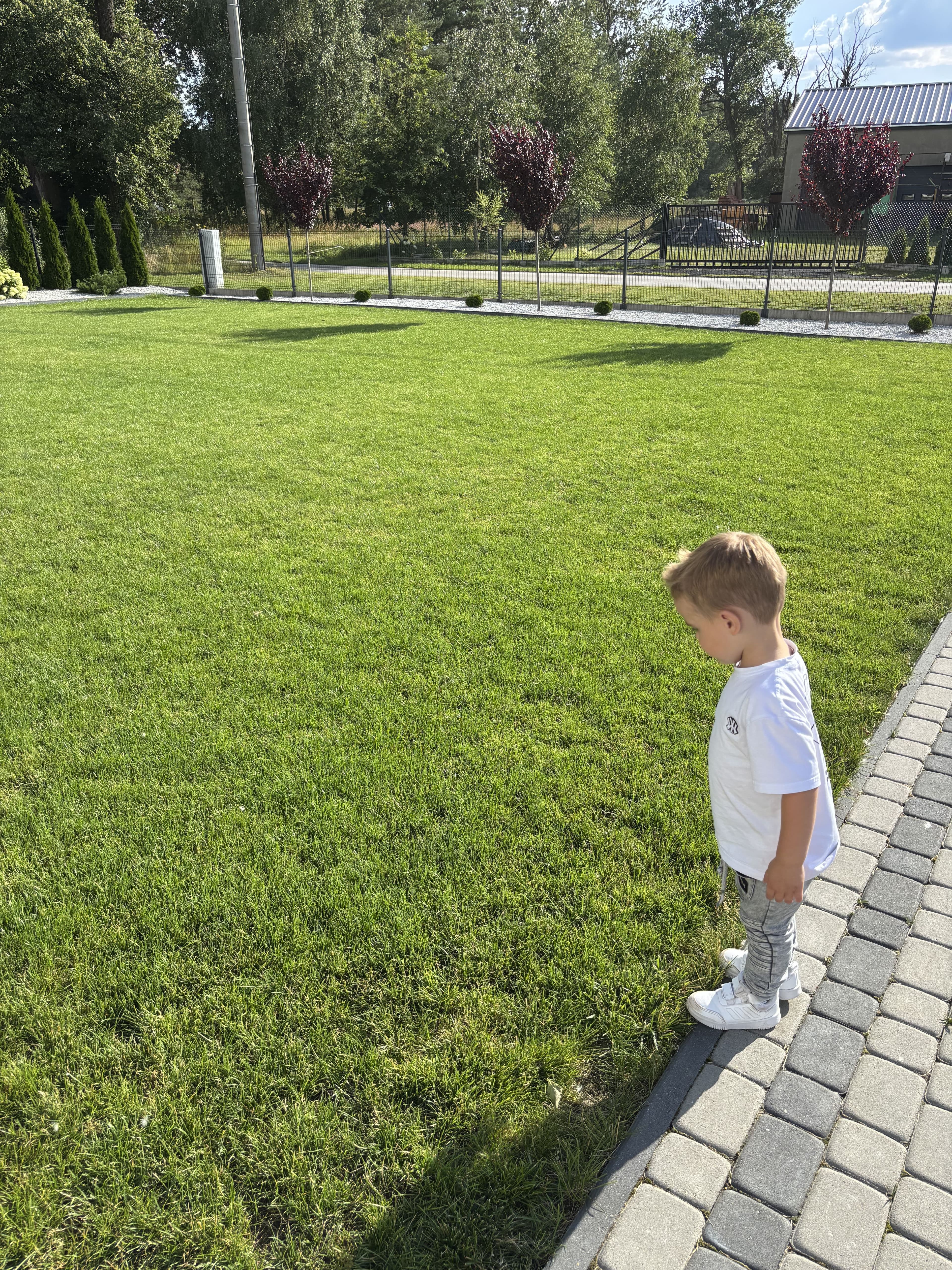 Mech OFF - skuteczny preparat na mech w trawniku i ogrodzie