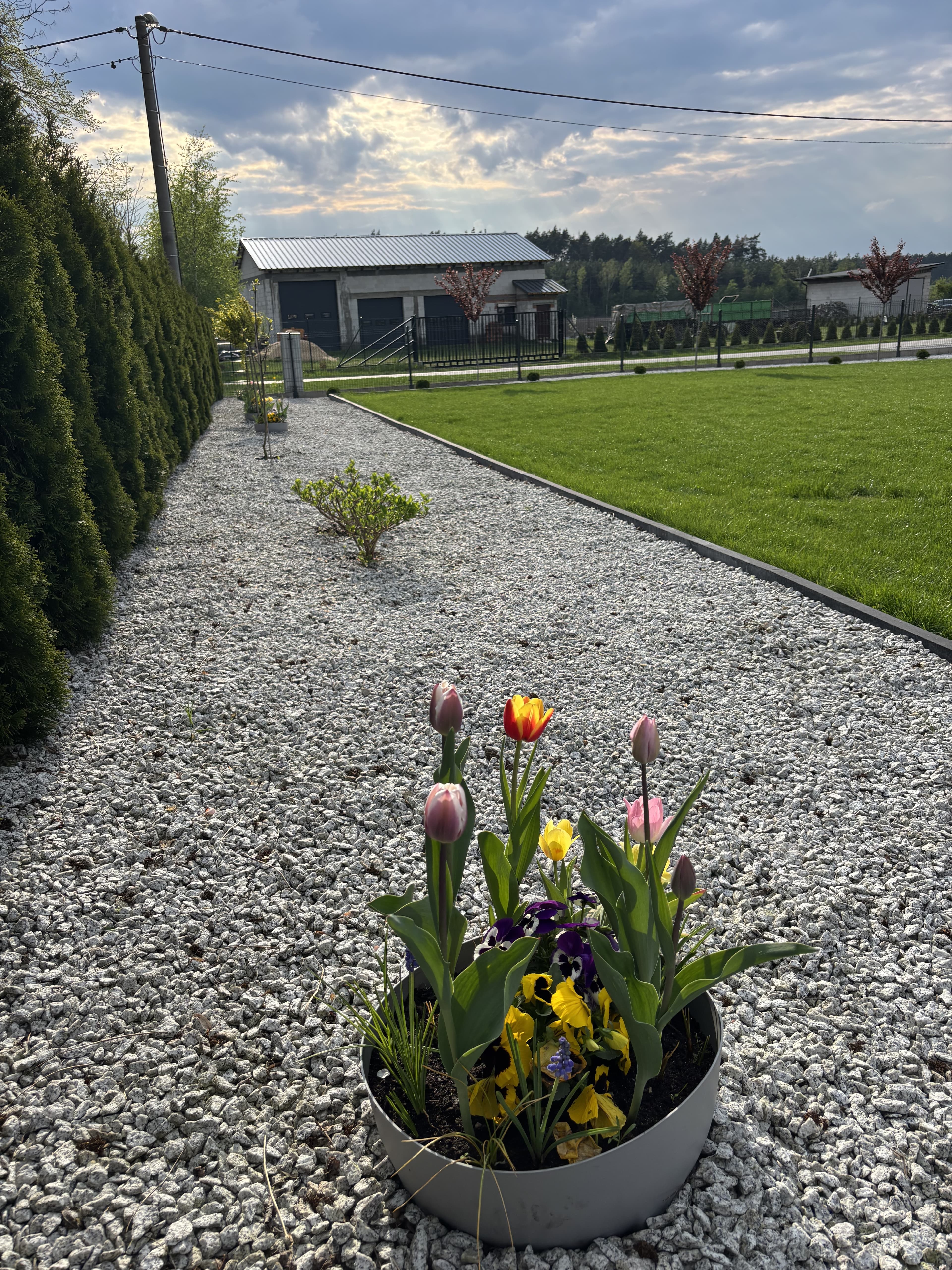 Turbo Korzeń - Wzmacniacz korzeni i intensywnego kwitnienia