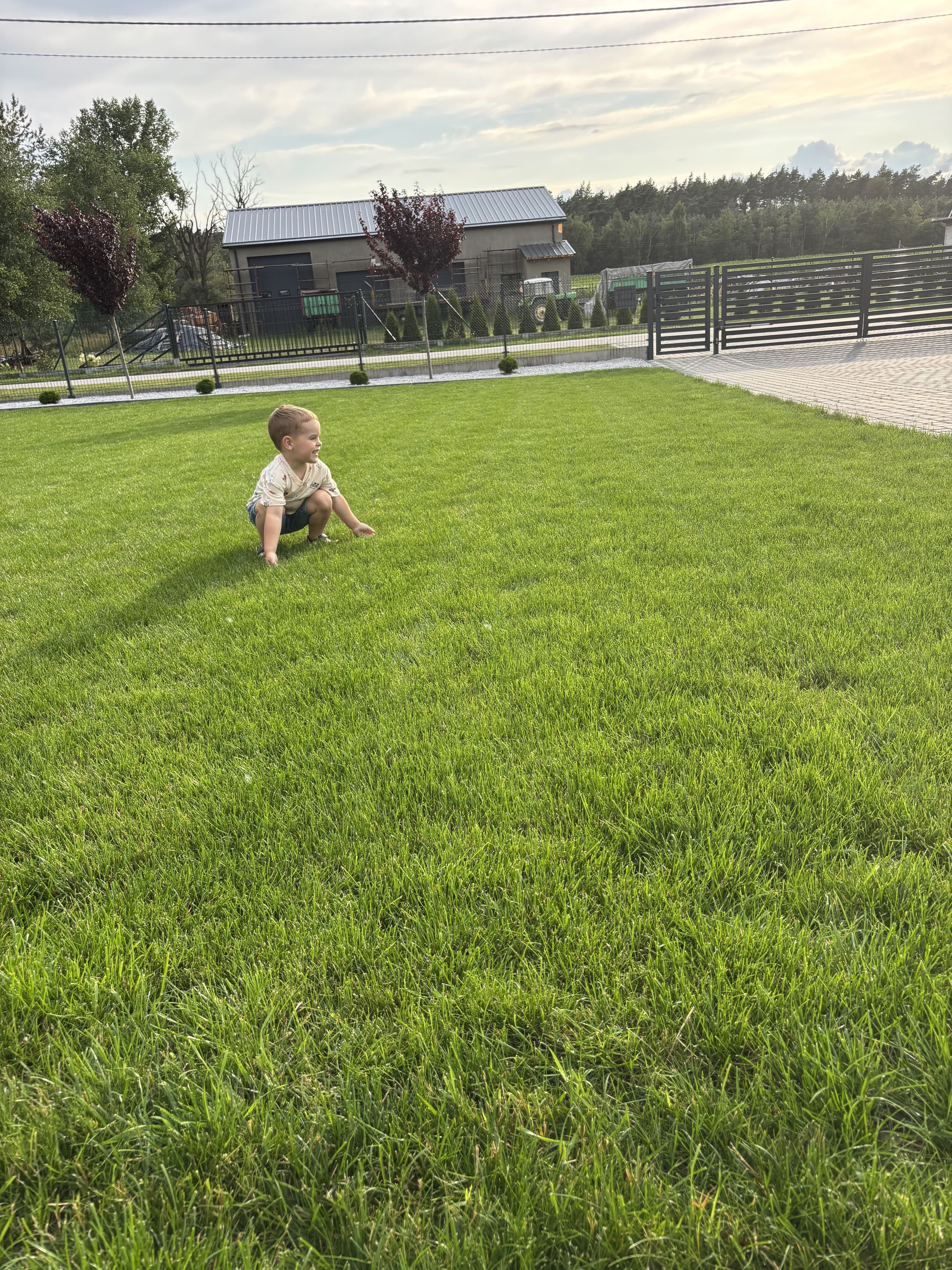 Mech OFF - skuteczny preparat na mech w trawniku i ogrodzie