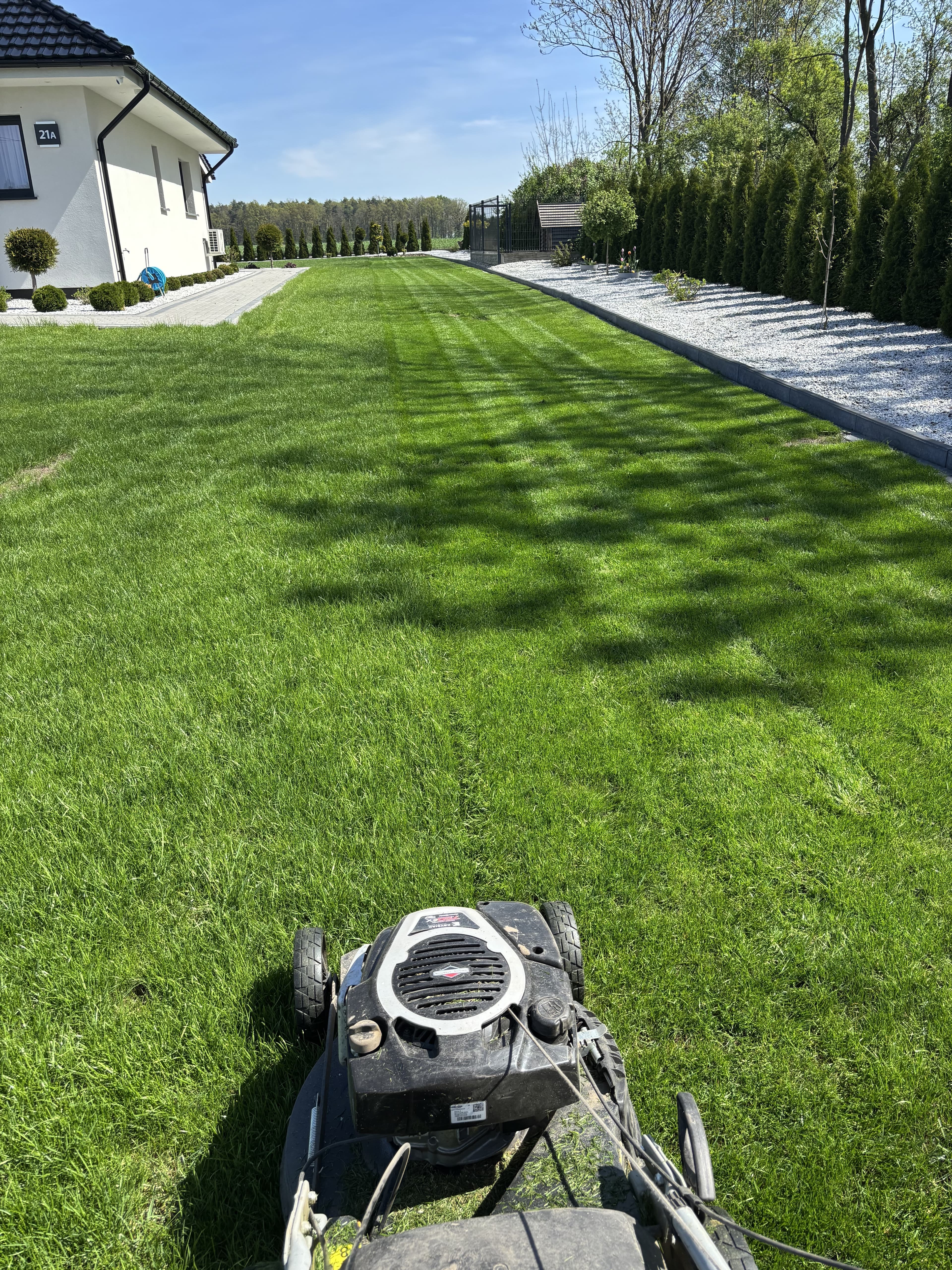 Mech OFF - skuteczny preparat na mech w trawniku i ogrodzie