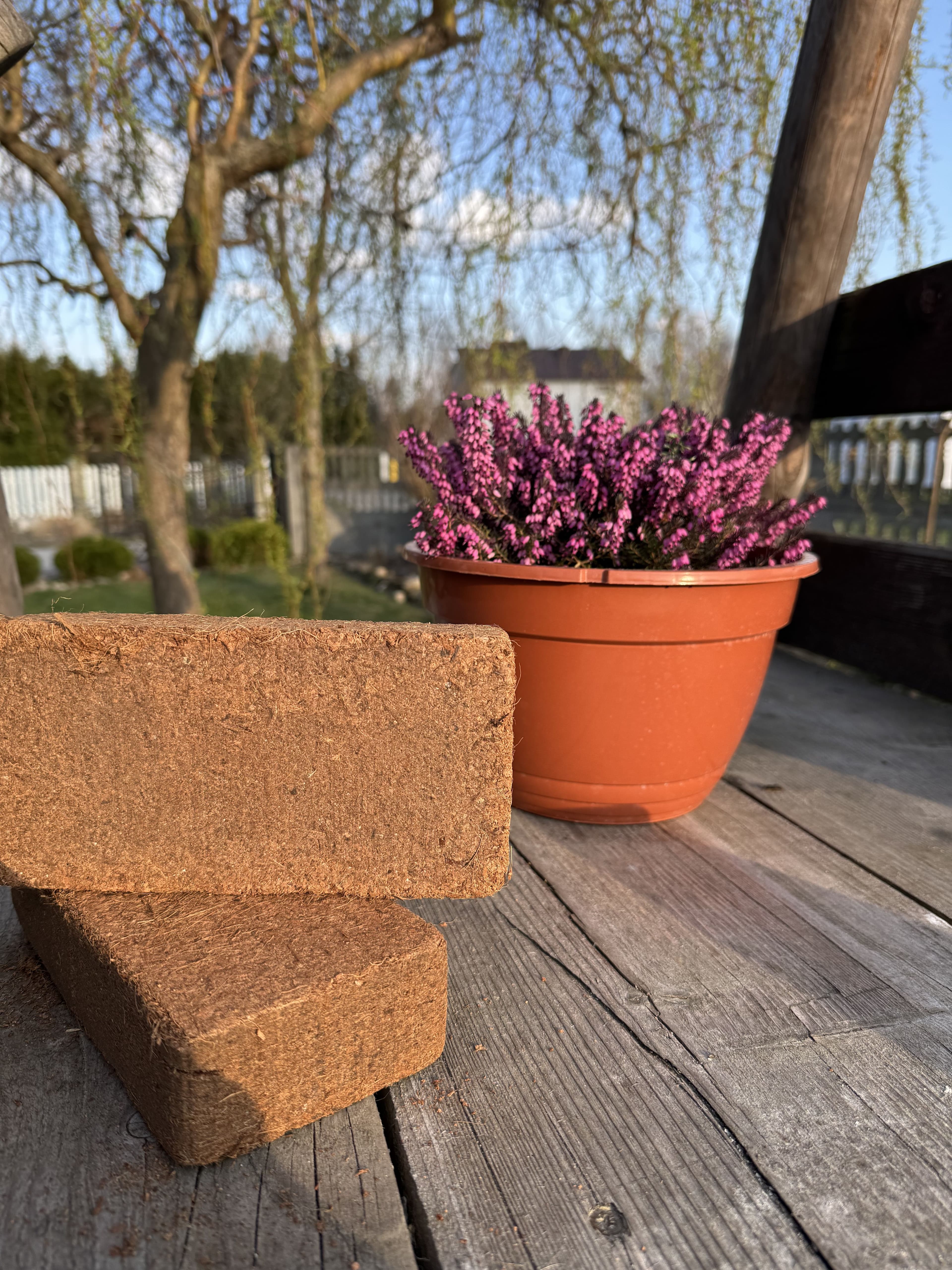 CocoVanta – profesjonalne podłoże dla Twoich upraw