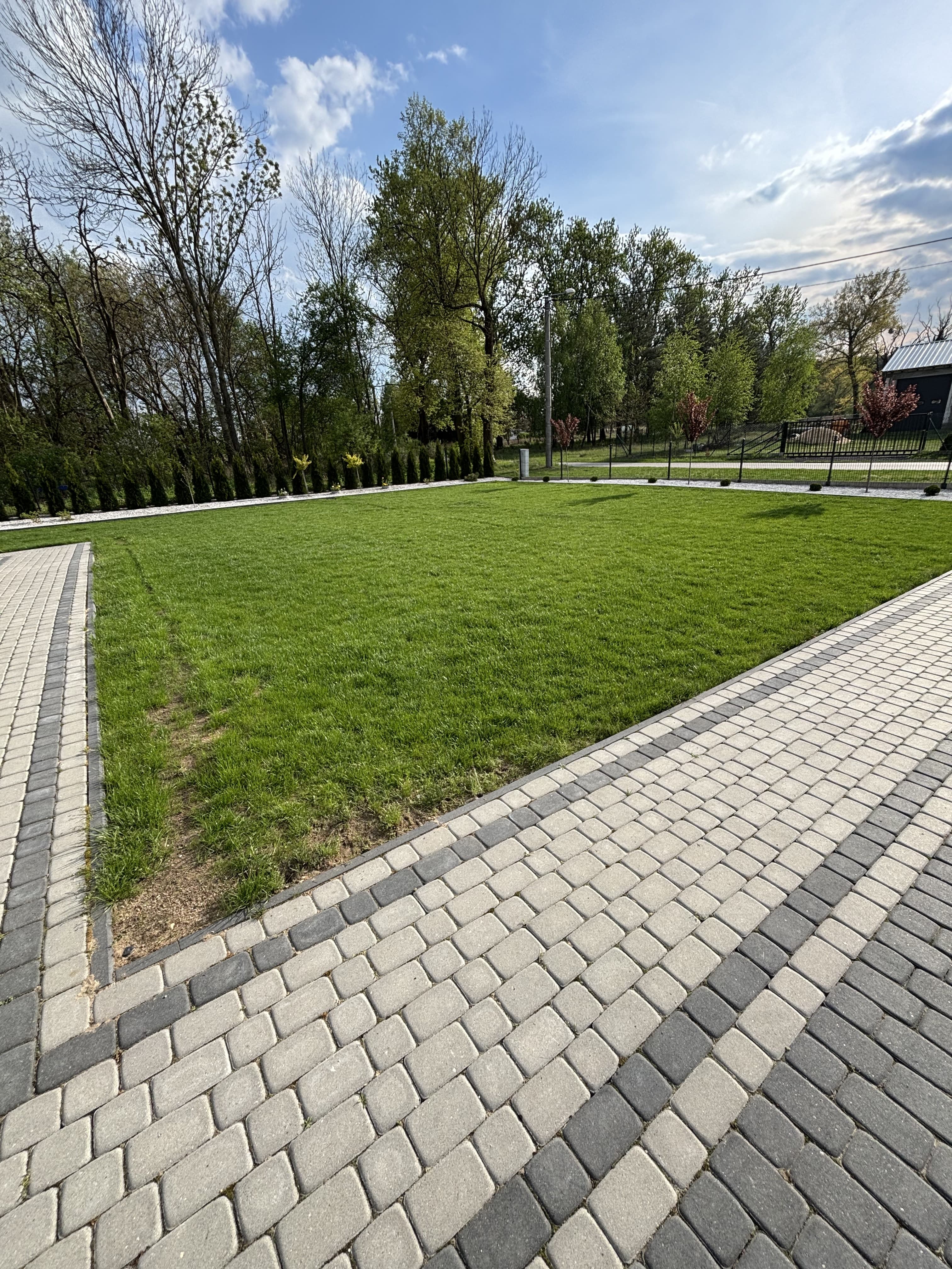 Mech OFF - skuteczny preparat na mech w trawniku i ogrodzie