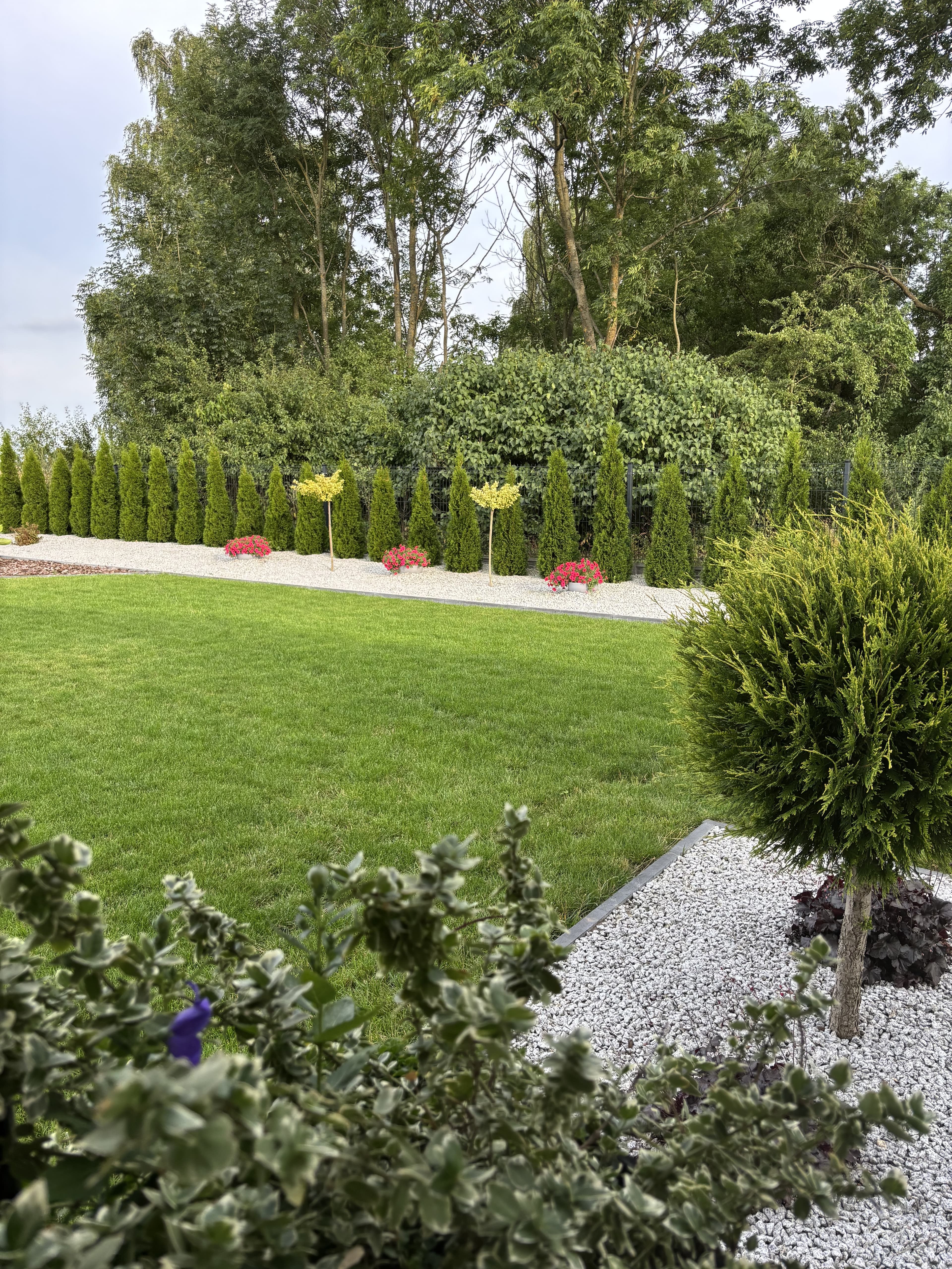 Turbo Korzeń - Wzmacniacz korzeni i intensywnego kwitnienia