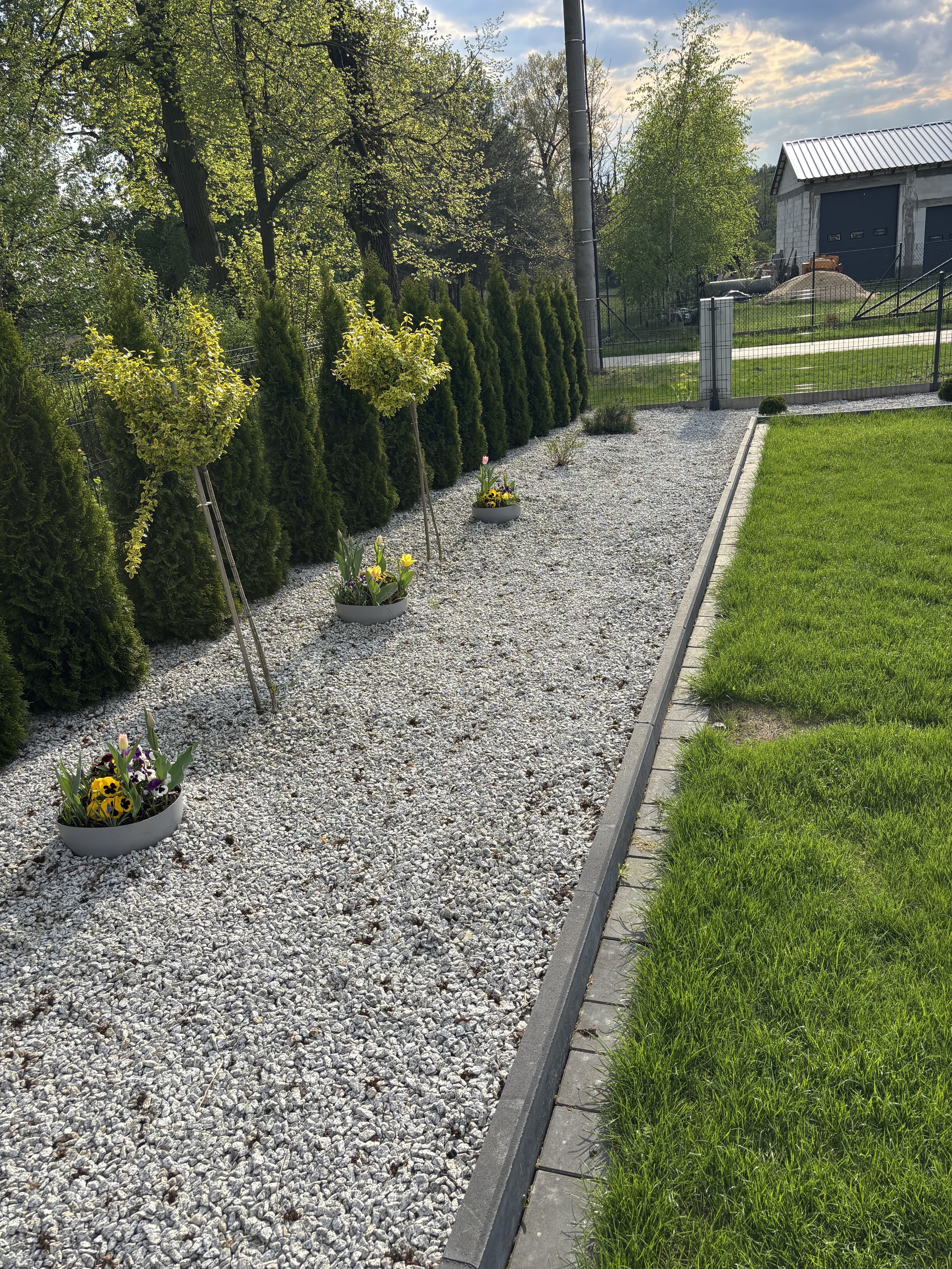 Turbo Korzeń - Wzmacniacz korzeni i intensywnego kwitnienia