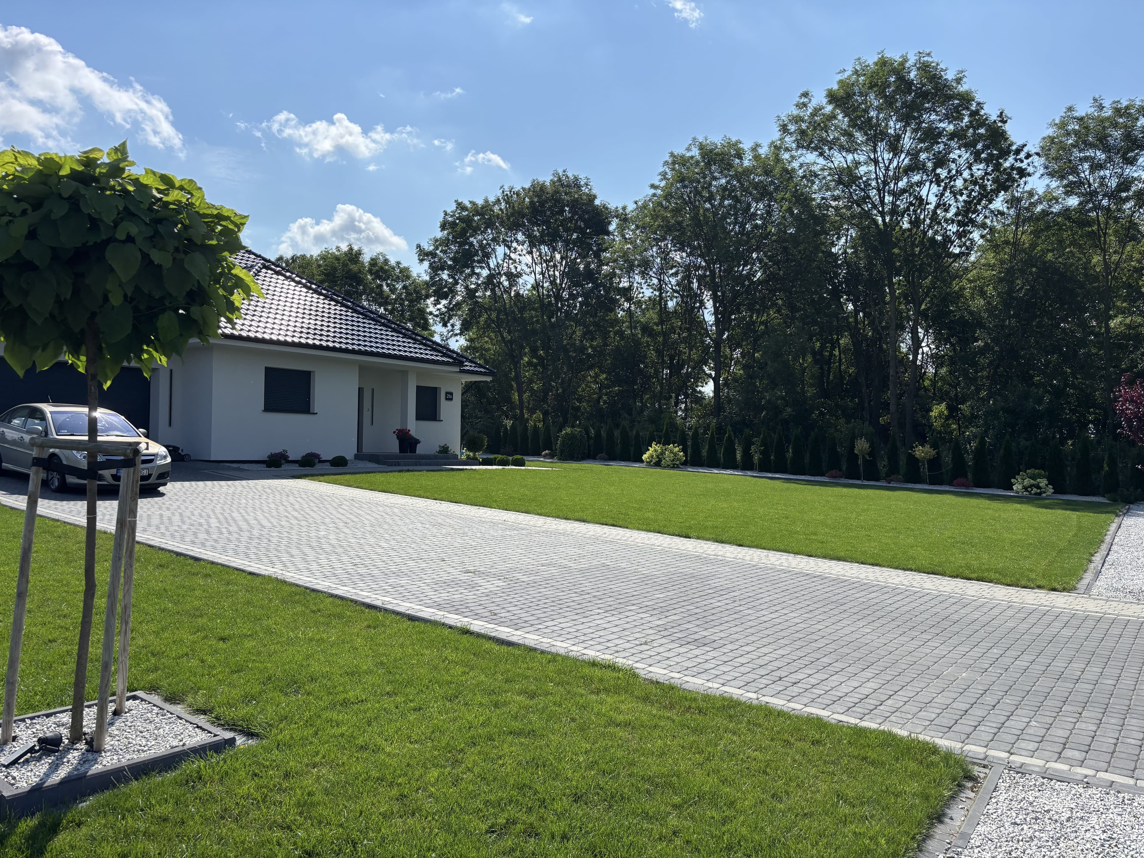 Mech OFF - skuteczny preparat na mech w trawniku i ogrodzie