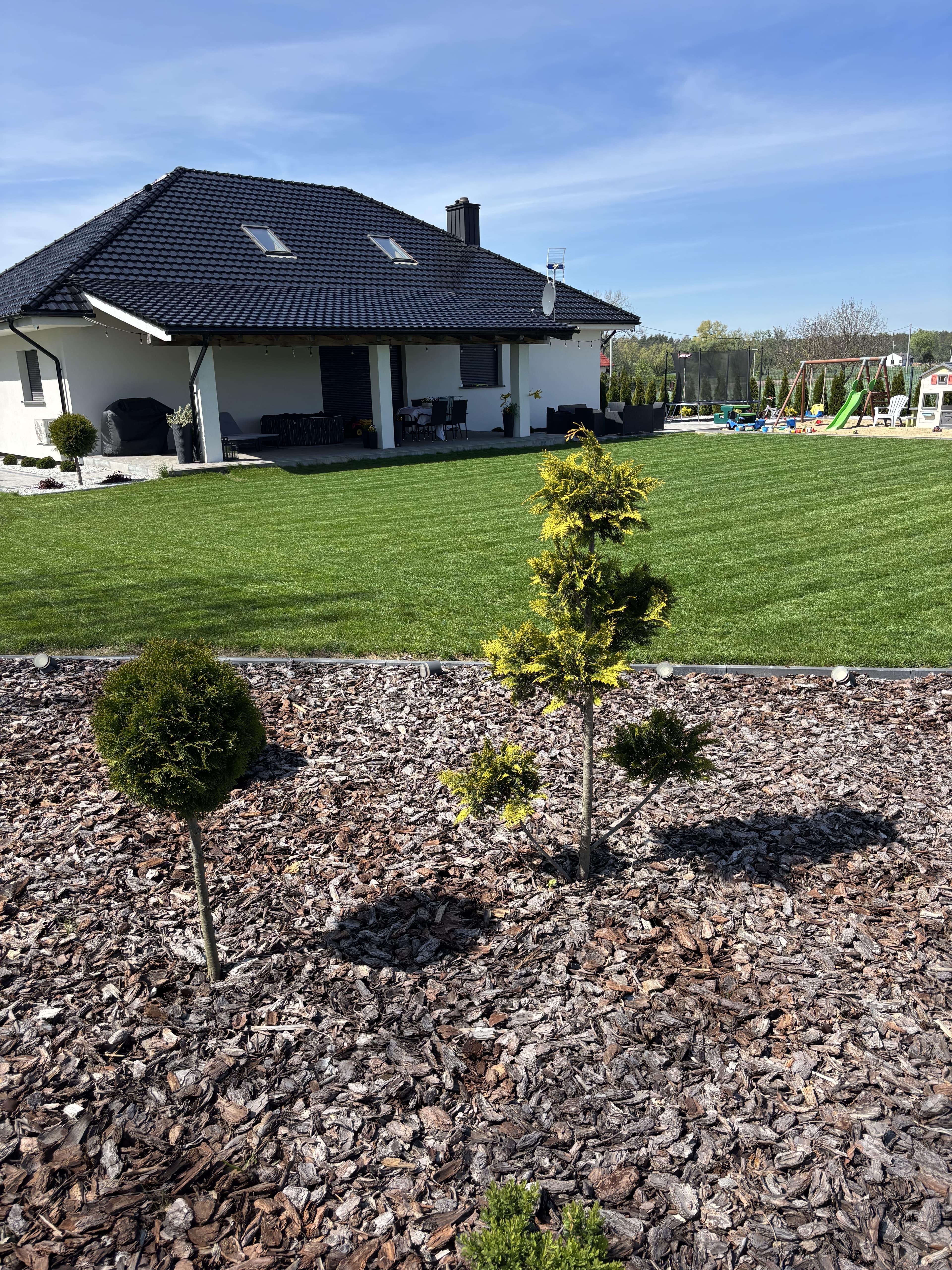 Mech OFF - skuteczny preparat na mech w trawniku i ogrodzie