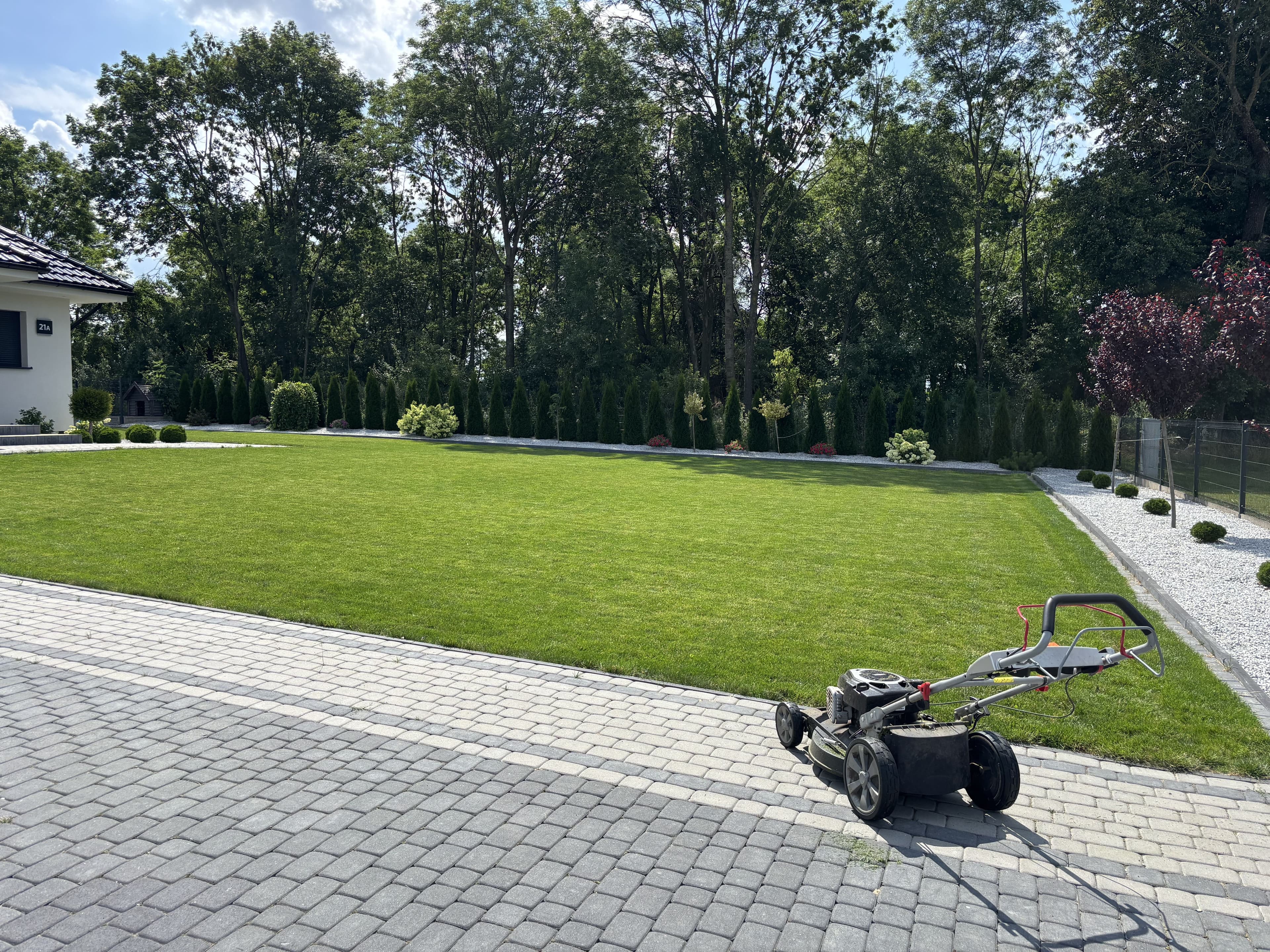 Mech OFF - skuteczny preparat na mech w trawniku i ogrodzie