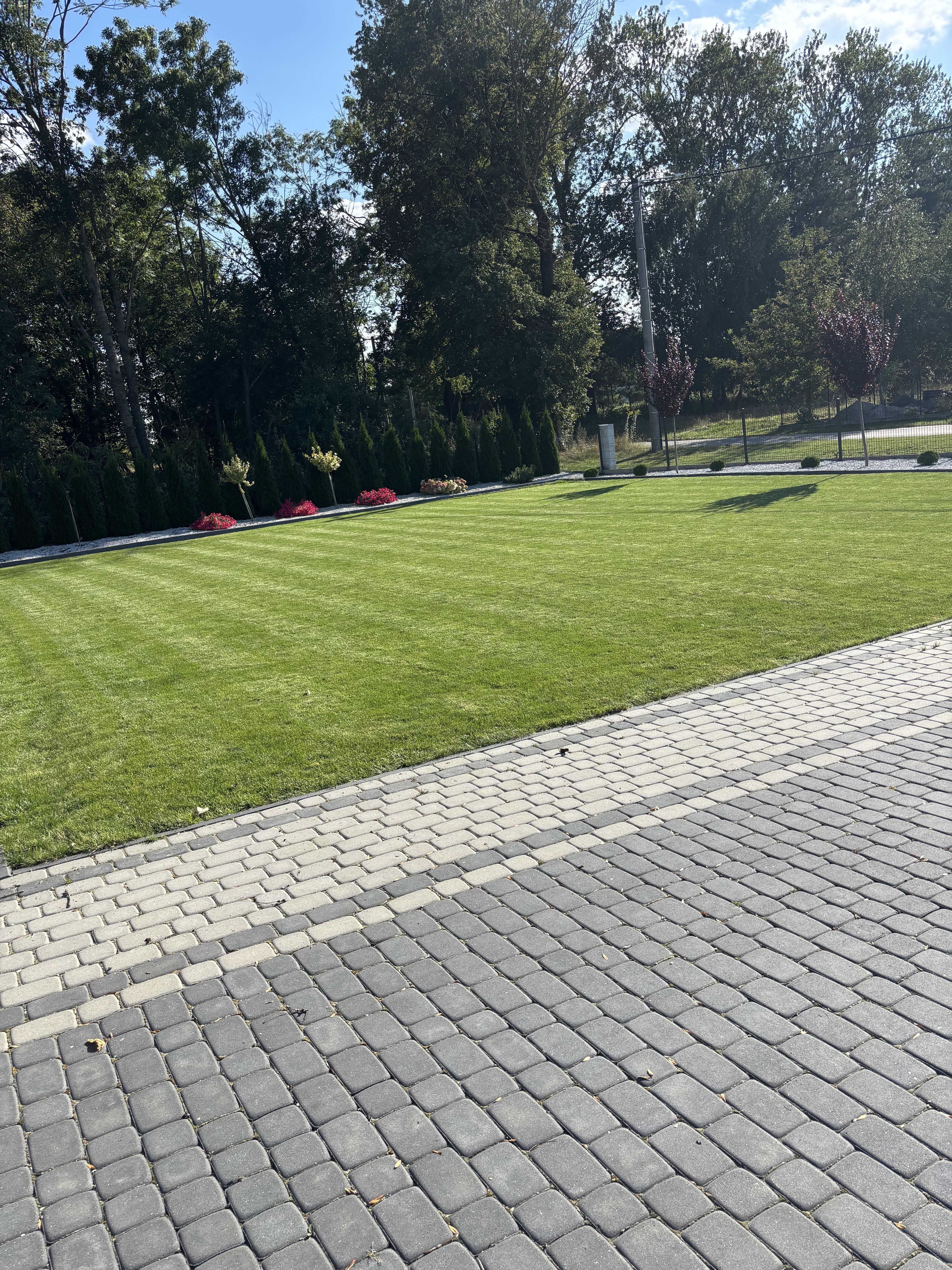 Mech OFF - skuteczny preparat na mech w trawniku i ogrodzie