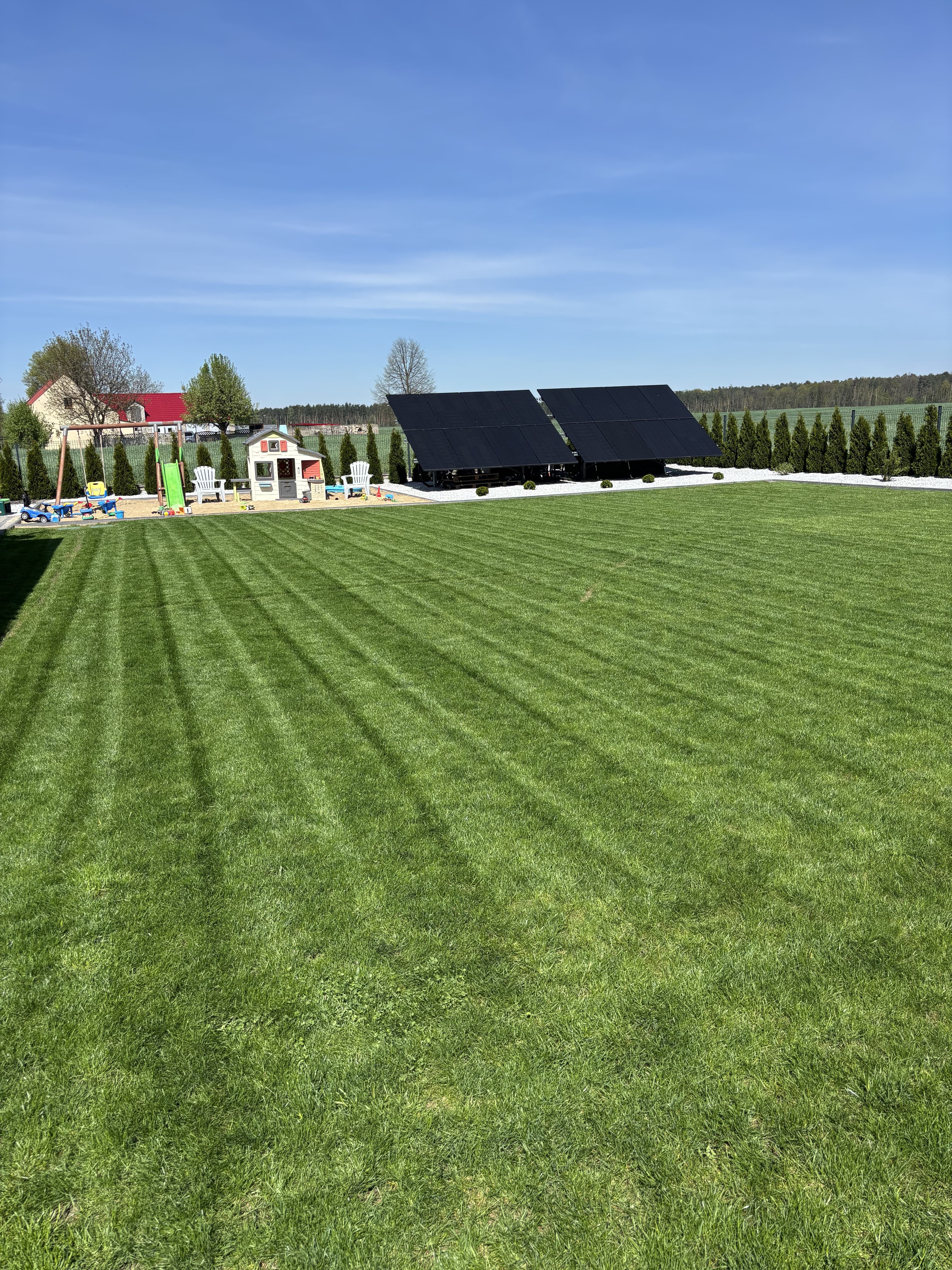 Mech OFF - skuteczny preparat na mech w trawniku i ogrodzie