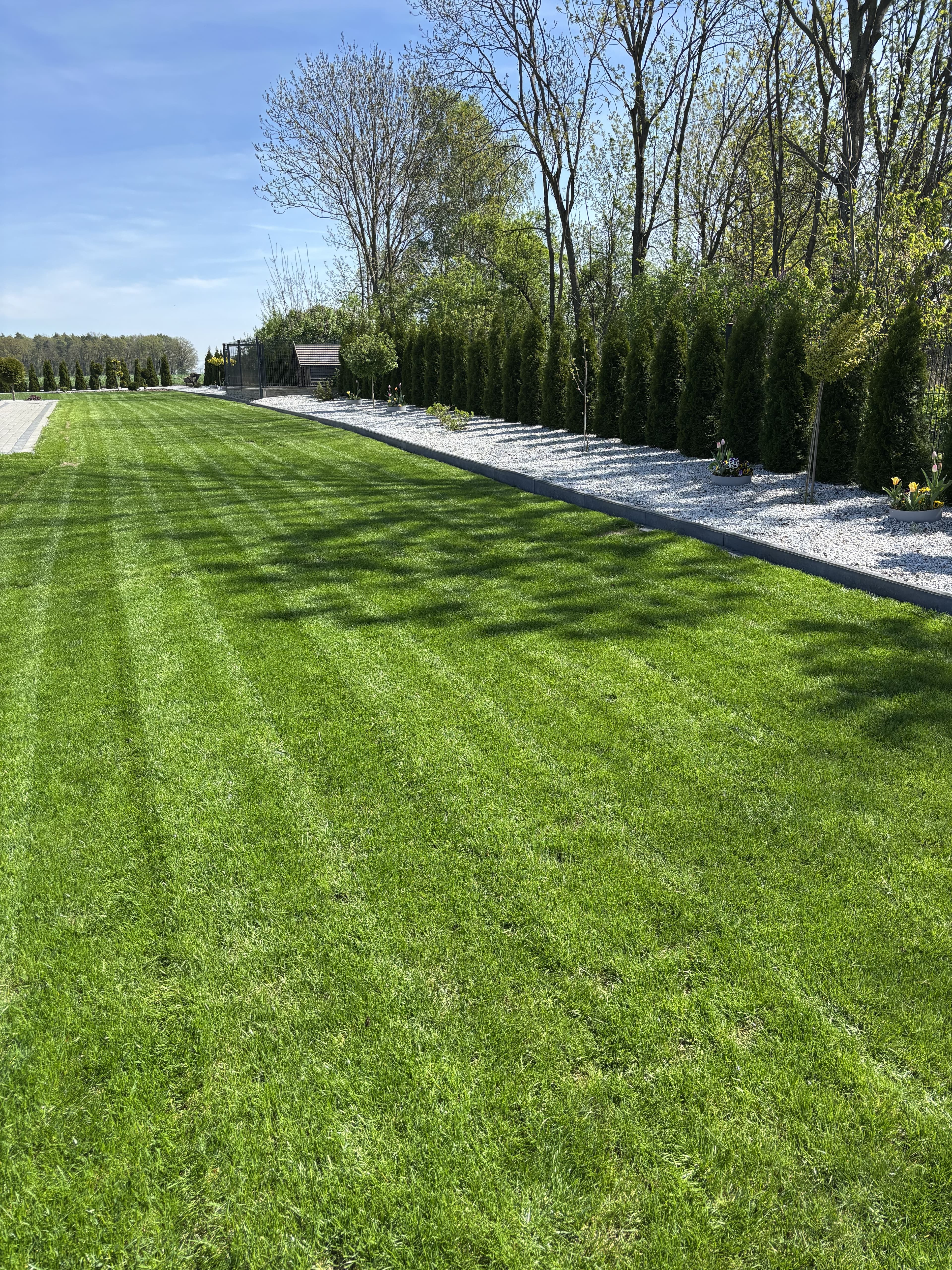 Mech OFF - skuteczny preparat na mech w trawniku i ogrodzie