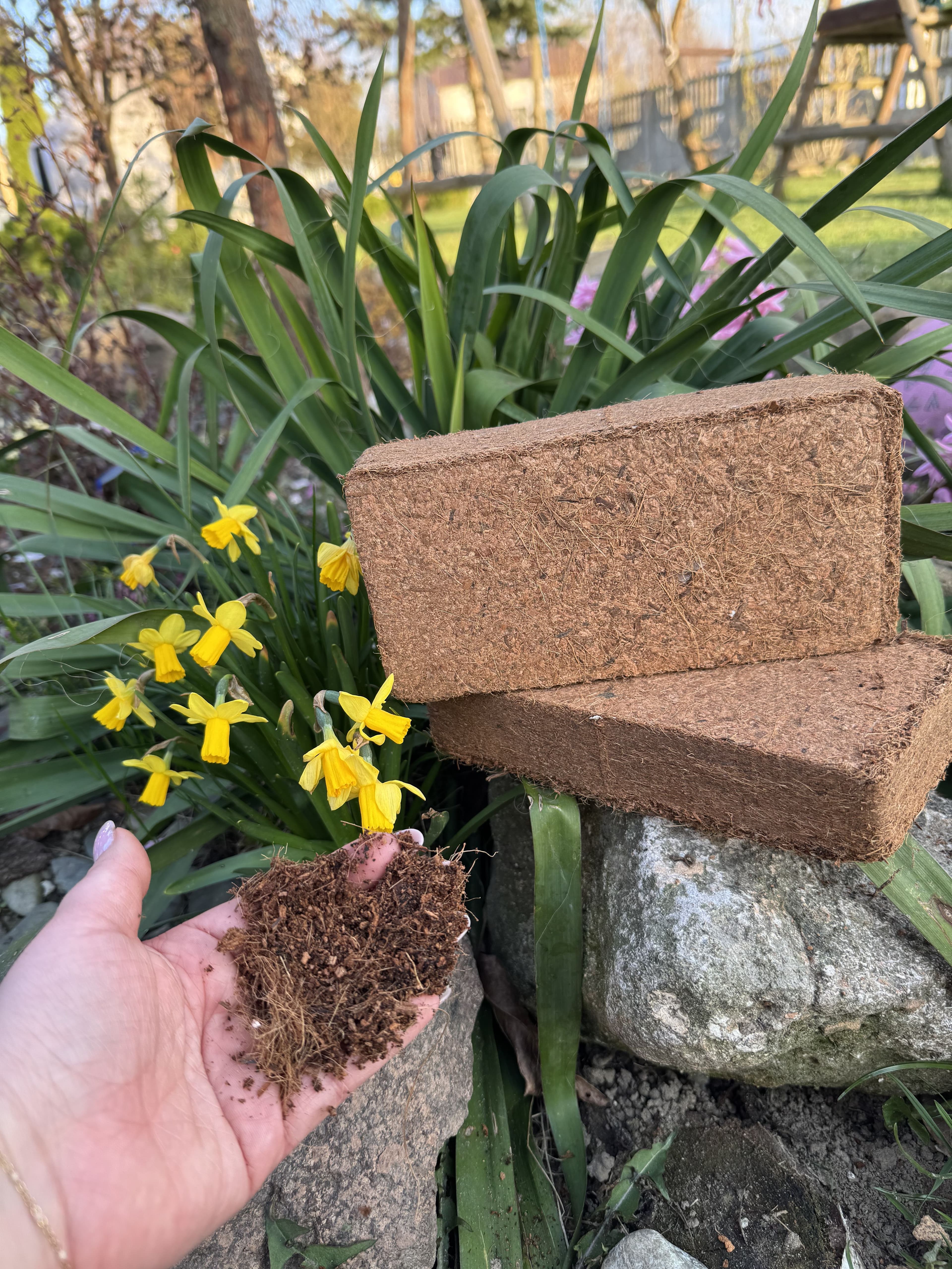 CocoVanta – profesjonalne podłoże dla Twoich upraw